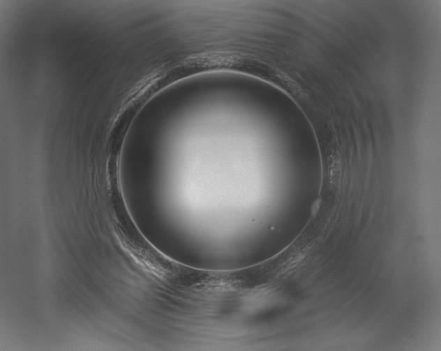 X0000052650254200507011420