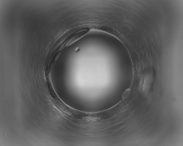 X0000052650255200507011420