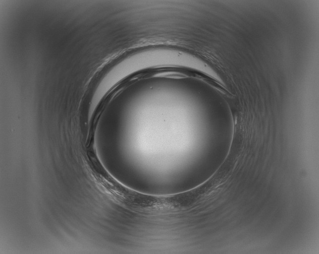 X0000052650256200507011420