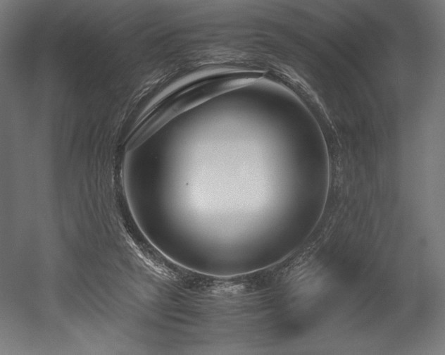 X0000052650257200507011420