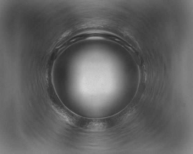 X0000052650260200507011420