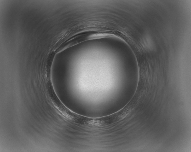 X0000052650261200507011420