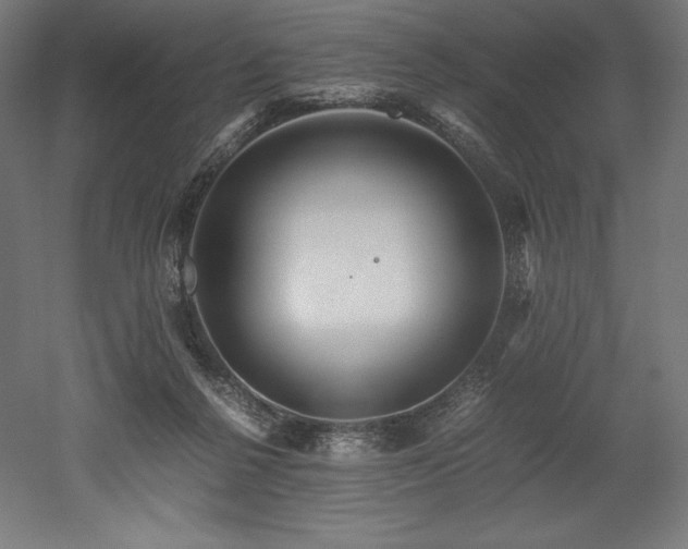 X0000052650264200507011420