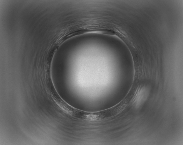 X0000052650265200507011420
