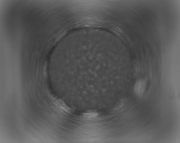X0000052650266200507011420