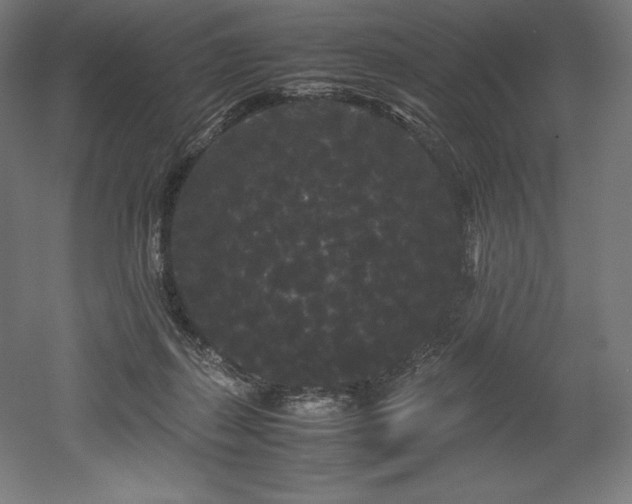 X0000052650267200507011420