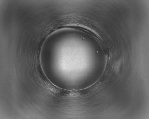 X0000052650270200507011420