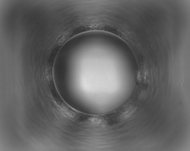 X0000052650272200507011420
