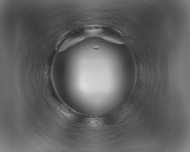 X0000052650275200507011420