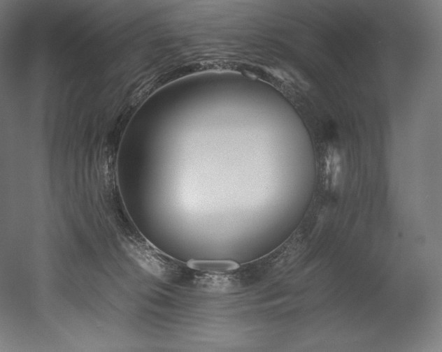 X0000052650276200507011420