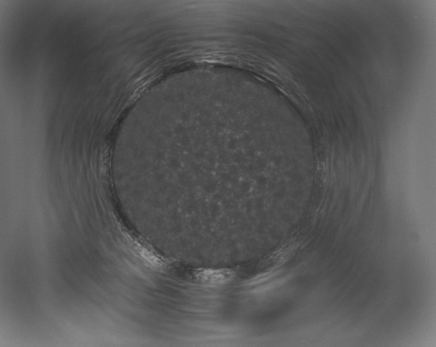 X0000052650277200507011420