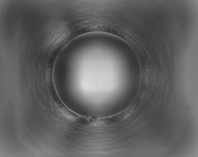 X0000052650278200507011420