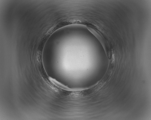 X0000052650280200507011420