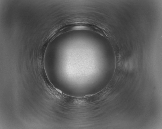 X0000052650283200507011420