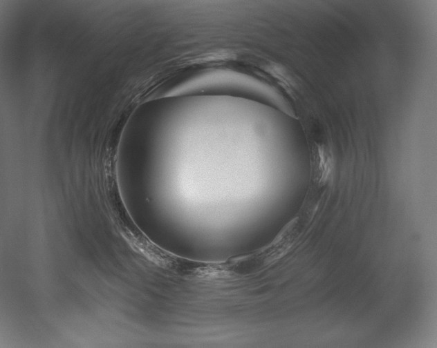 X0000052650284200507011420