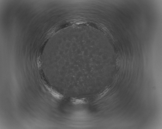 X0000052650285200507011420