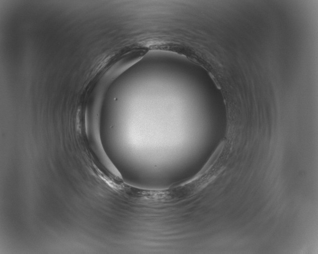 X0000052650288200507011420