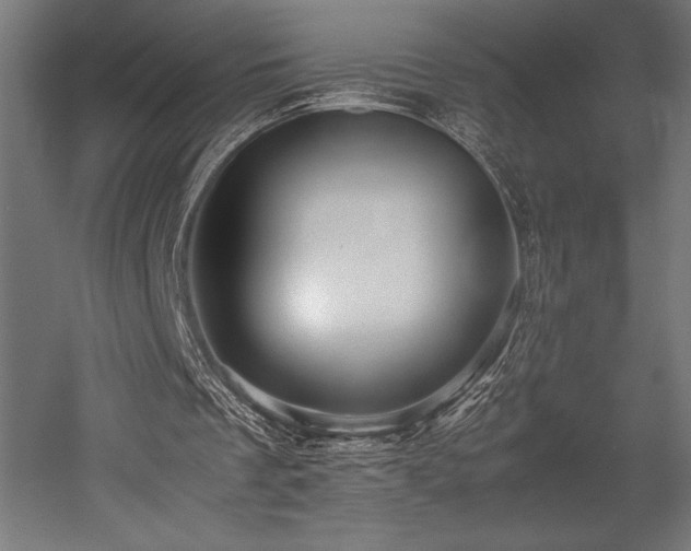 X0000052650289200507011420