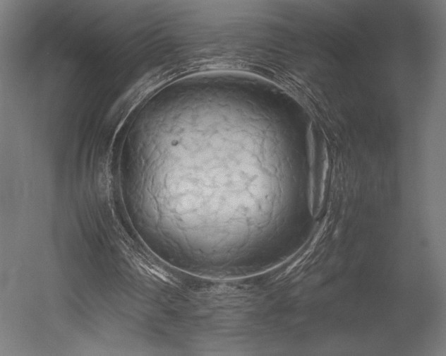 X0000052650290200507011420