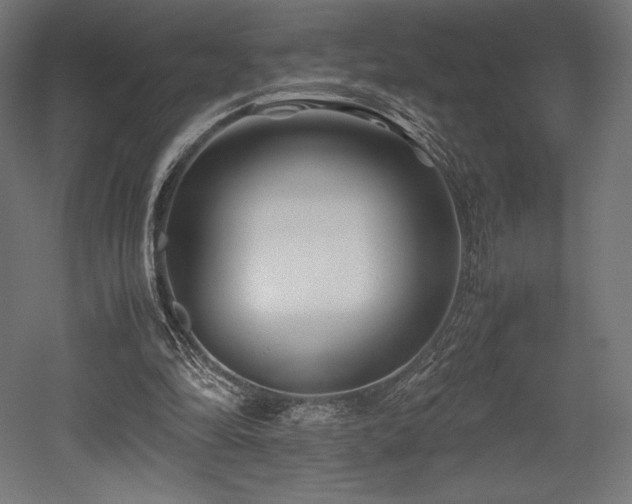 X0000052650294200507011420