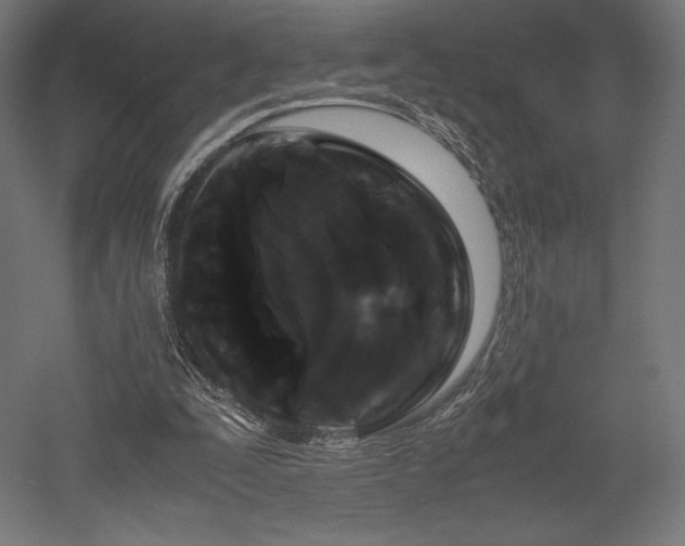 X0000052650295200507011420