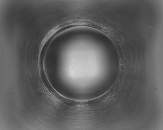 X0000052650296200507011420