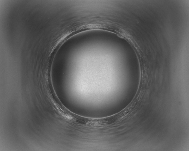 X0000052650297200507011420