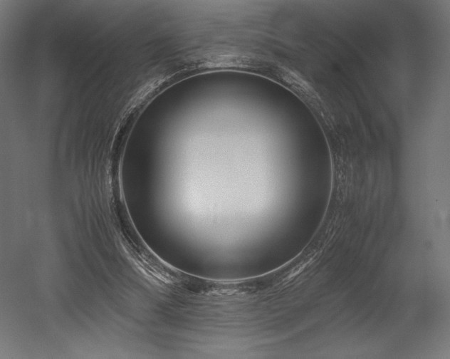 X0000052650298200507011420
