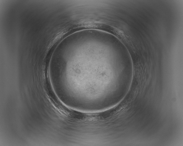 X0000052650299200507011419