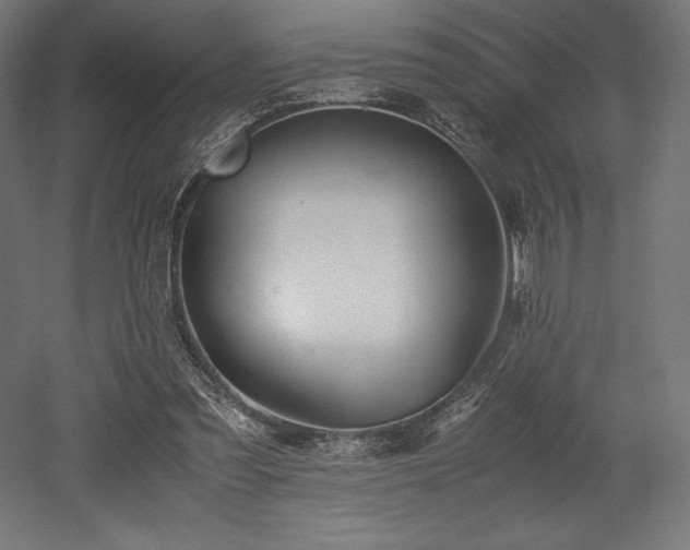X0000052650301200507011419