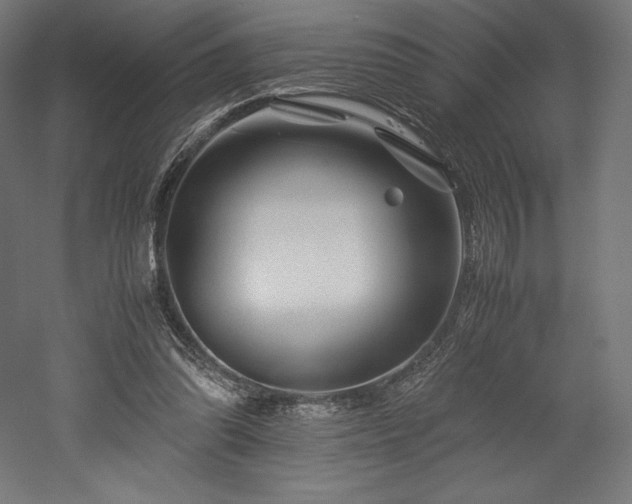 X0000052650302200507011419
