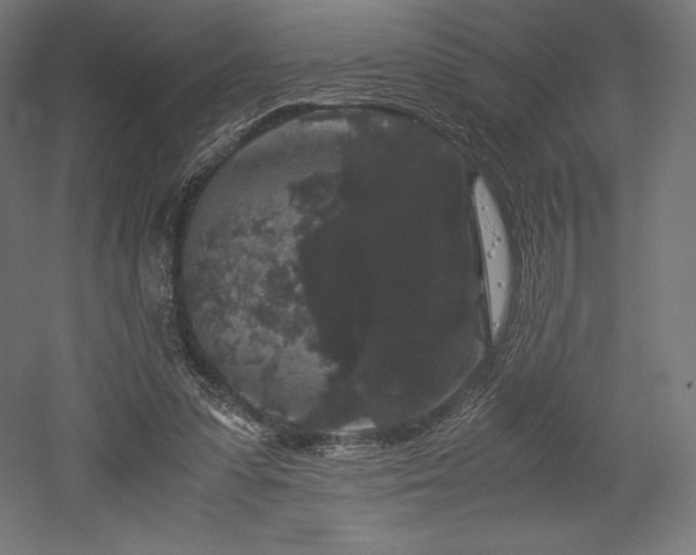 X0000052650303200507011419
