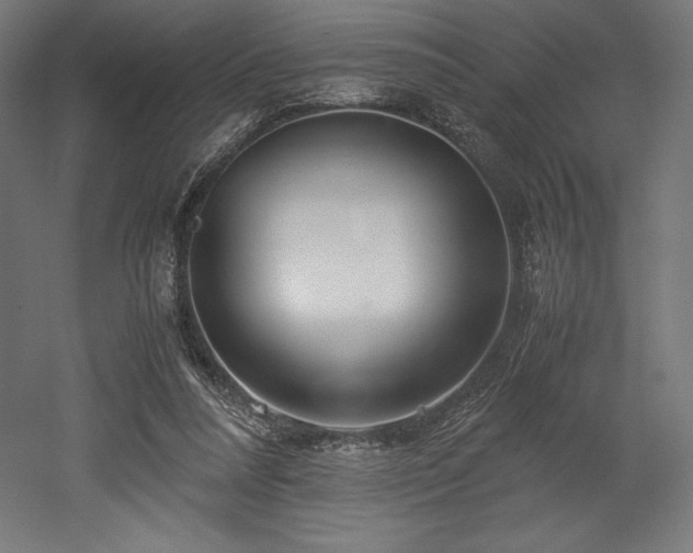 X0000052650304200507011419