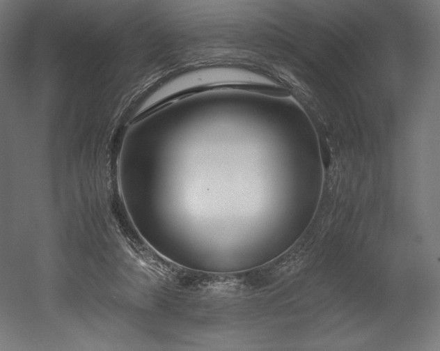 X0000052650306200507011419