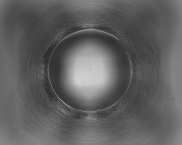 X0000052650308200507011419