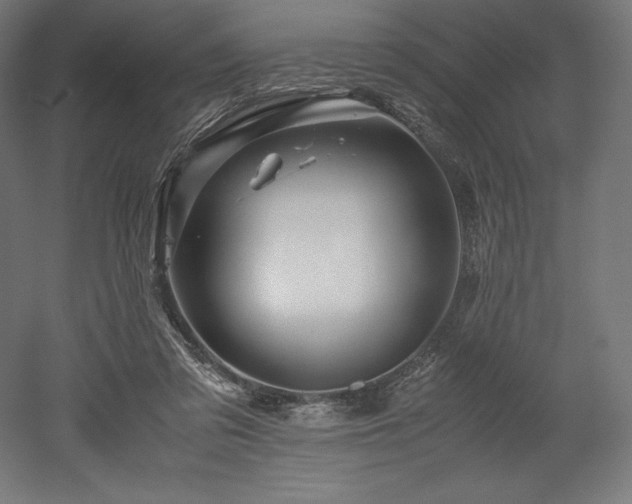 X0000052650309200507011419