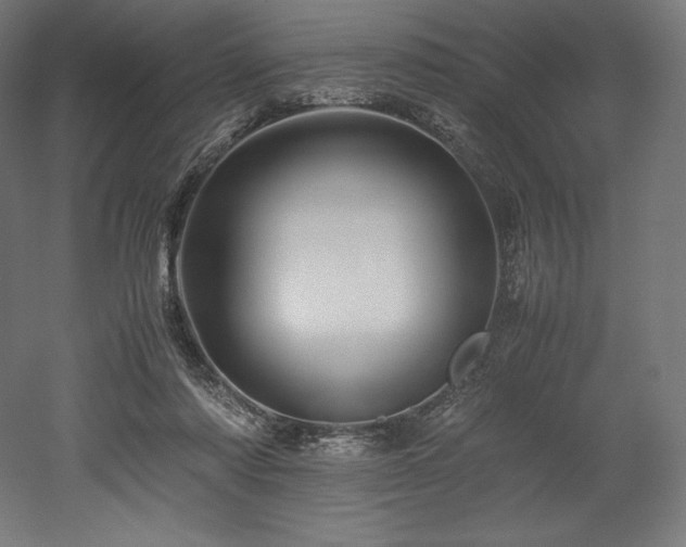 X0000052650310200507011419