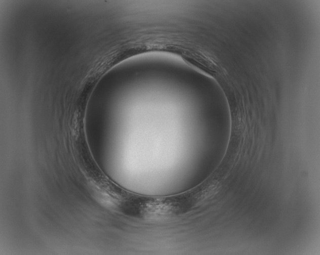 X0000052650311200507011419