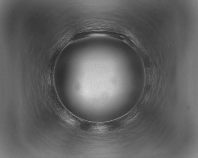 X0000052650313200507011419