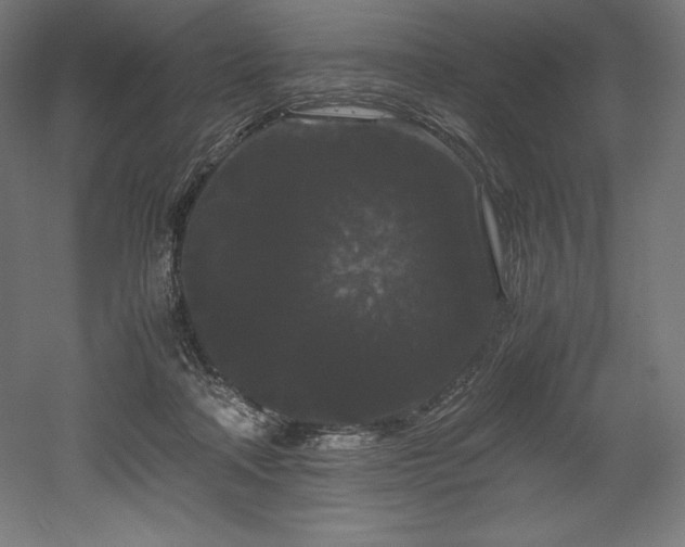 X0000052650314200507011419