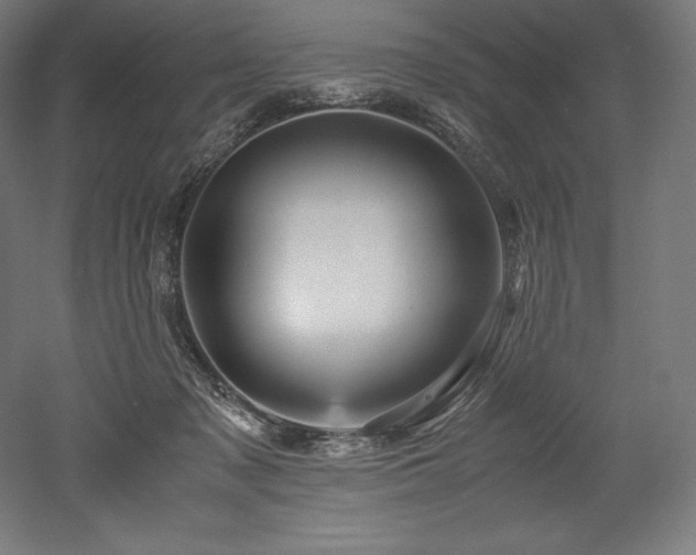 X0000052650317200507011419