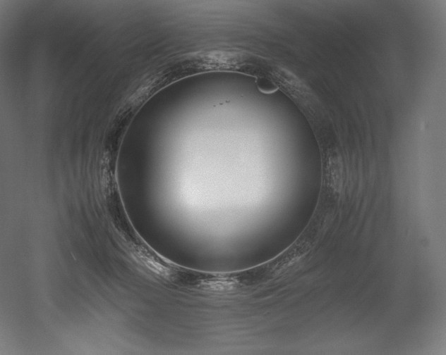 X0000052650318200507011419