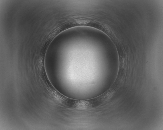 X0000052650321200507011419
