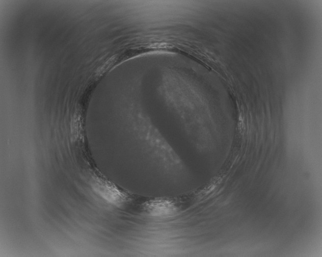 X0000052650322200507011419