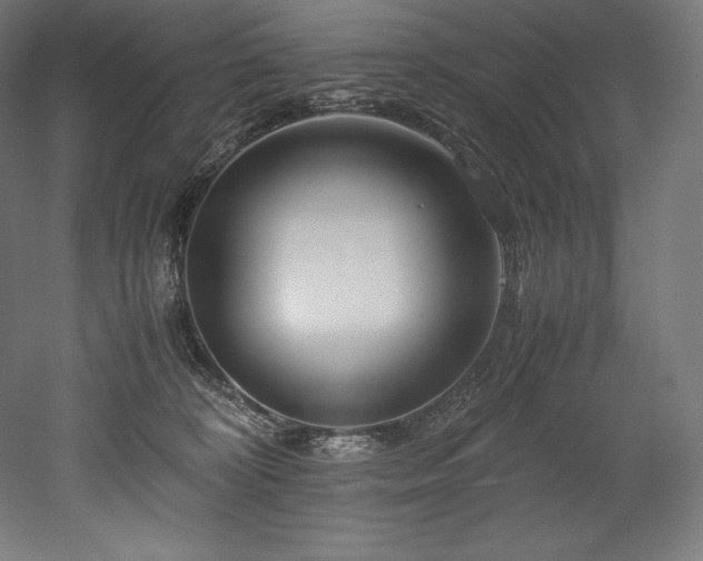 X0000052650324200507011419