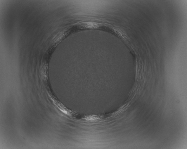 X0000052650325200507011419