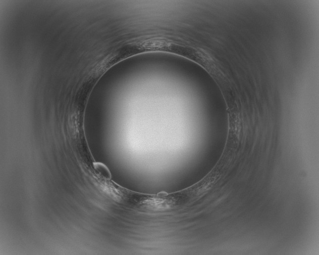 X0000052650326200507011419