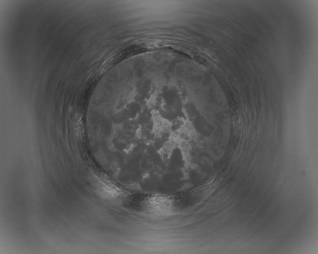X0000052650327200507011419