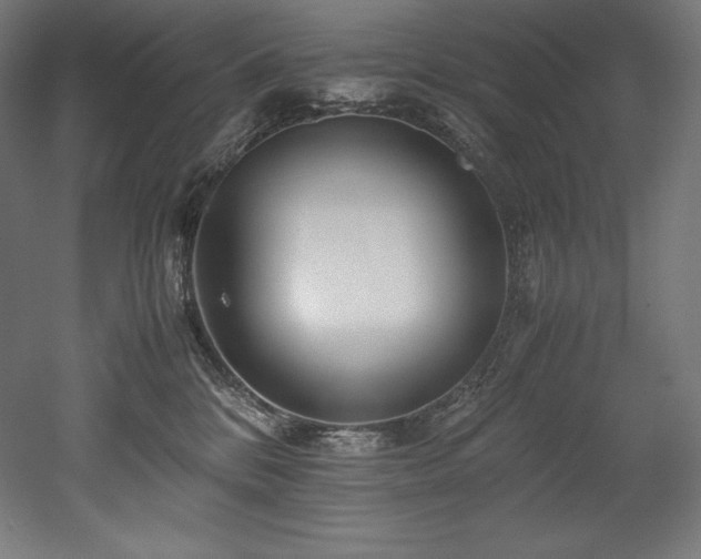 X0000052650328200507011419