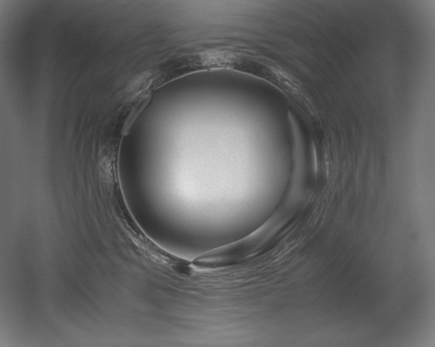 X0000052650329200507011419